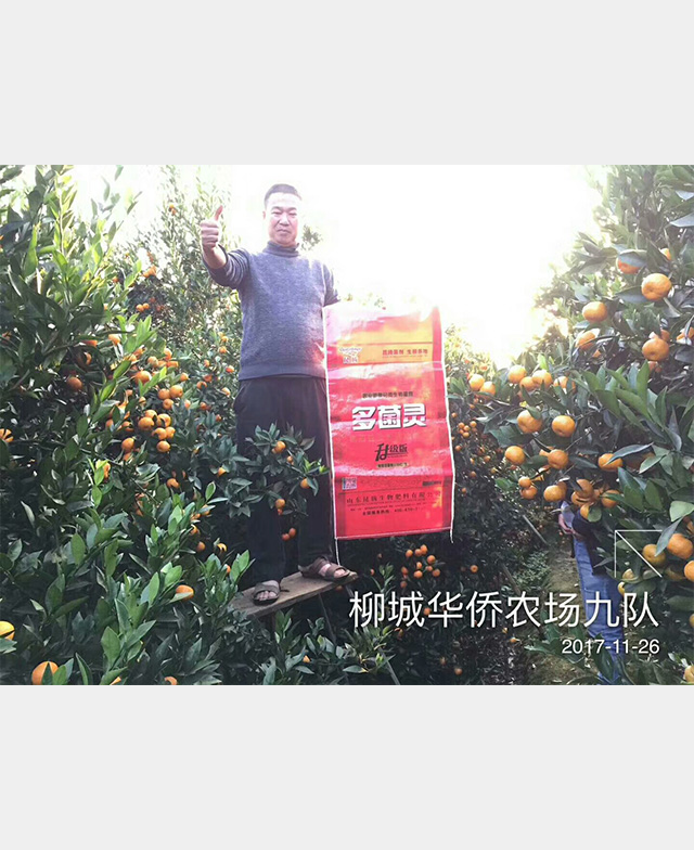 多菌灵种植户反馈