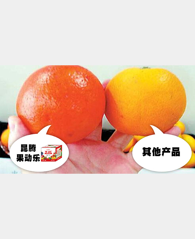 橙子果动乐
