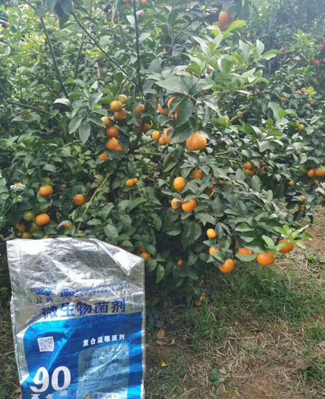 益植菌剂种植户反馈图片