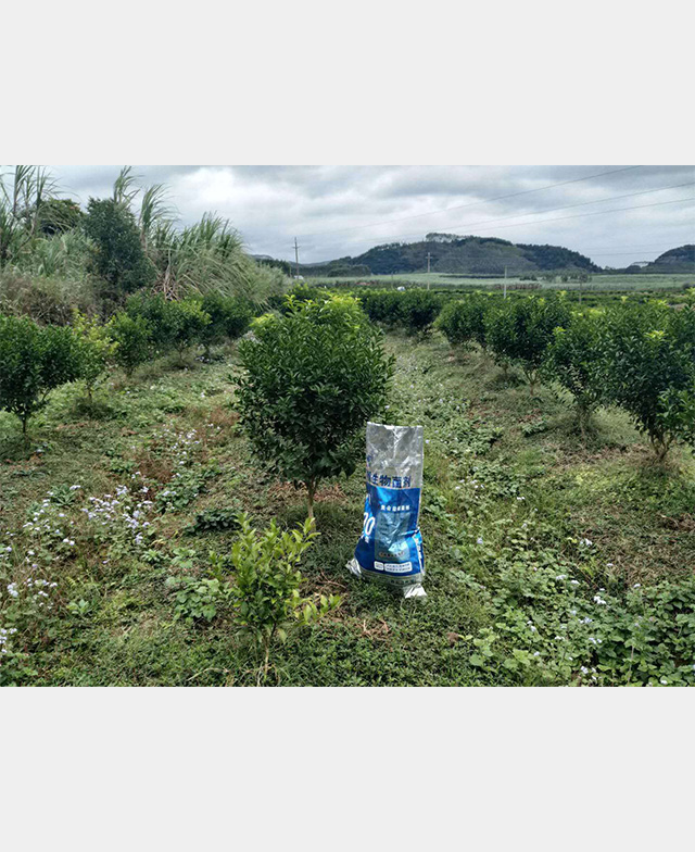 益植菌剂种植户反馈图片