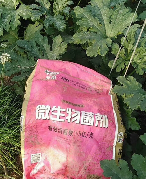 聚酶膨果钾种植户反馈