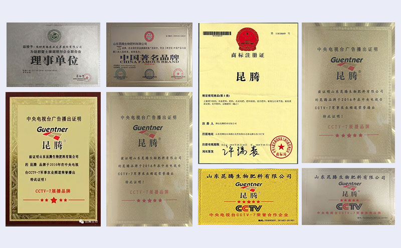 企业荣誉