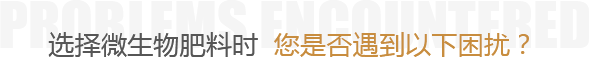 t1.png
