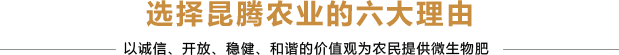 t5.png