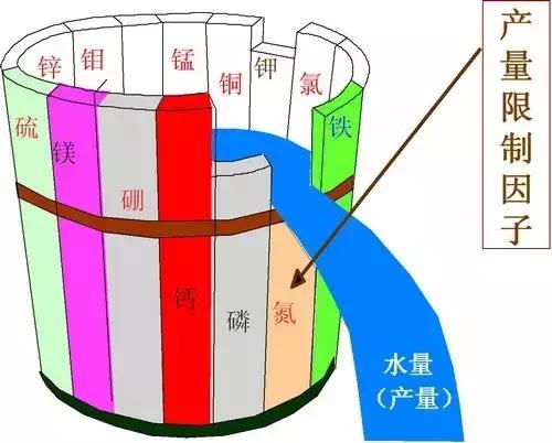 菌肥 生物菌肥 微生物菌肥