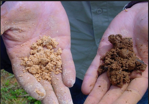 微生物有机菌肥 复合微生物菌剂 复合微生物菌肥