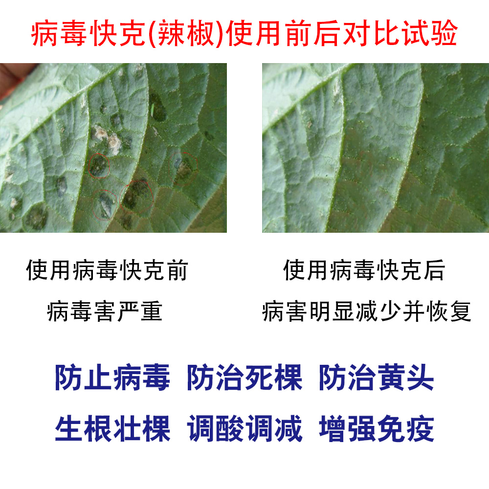 微生物有机菌肥 复合微生物菌剂 复合微生物菌肥