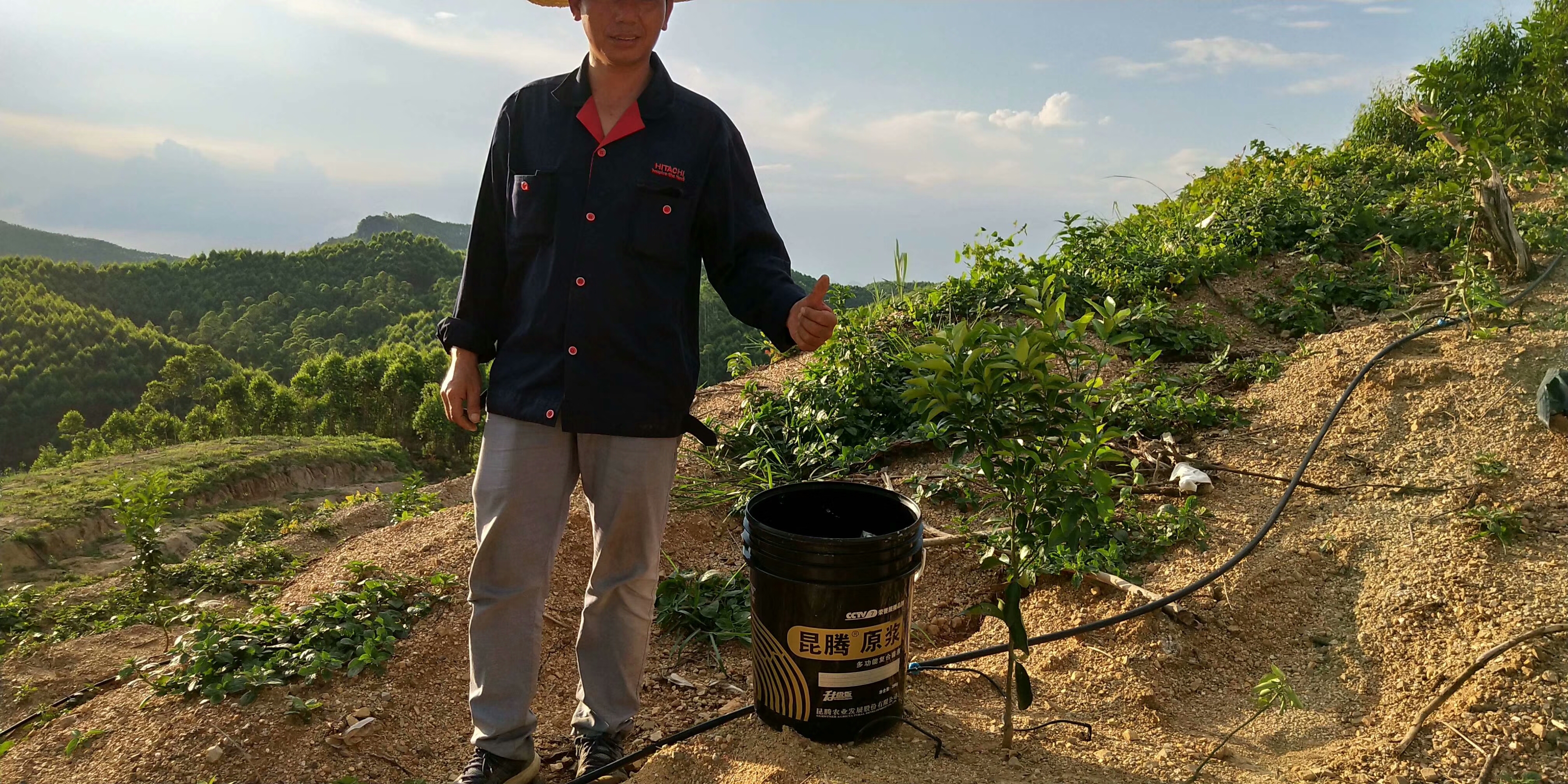 菌肥 微生物菌肥 微生物菌剂液体生物有机肥桶肥