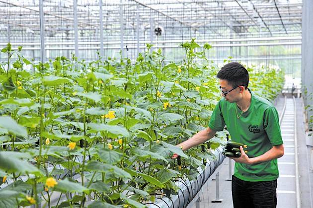 菌肥 微生物菌肥 微生物菌剂液体生物有机肥