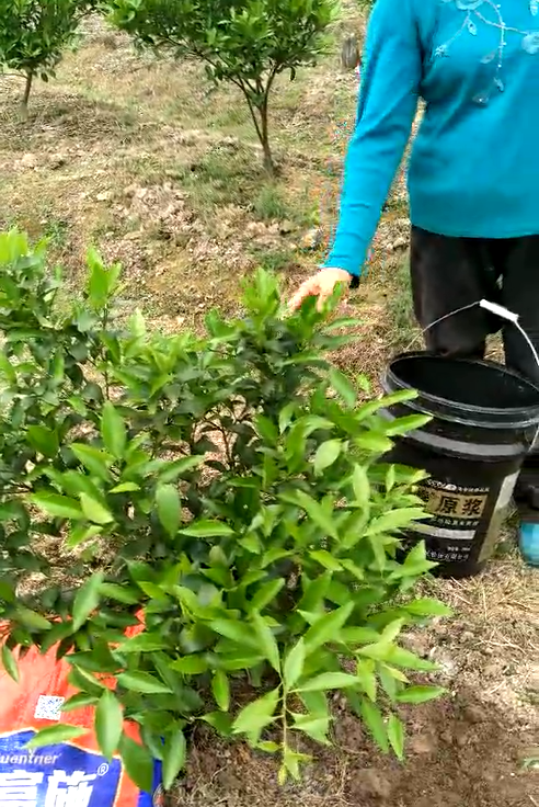 菌肥 微生物菌肥 微生物菌剂土壤改良剂生物有机肥