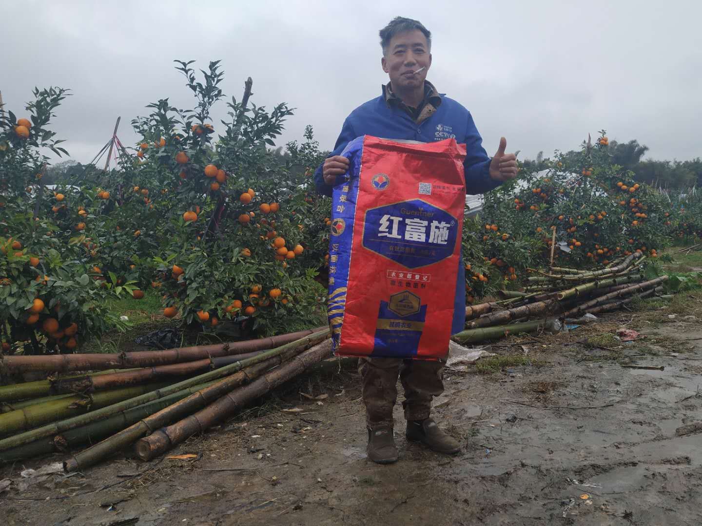 菌肥 微生物菌肥 微生物菌剂土壤改良调理剂生物有机肥