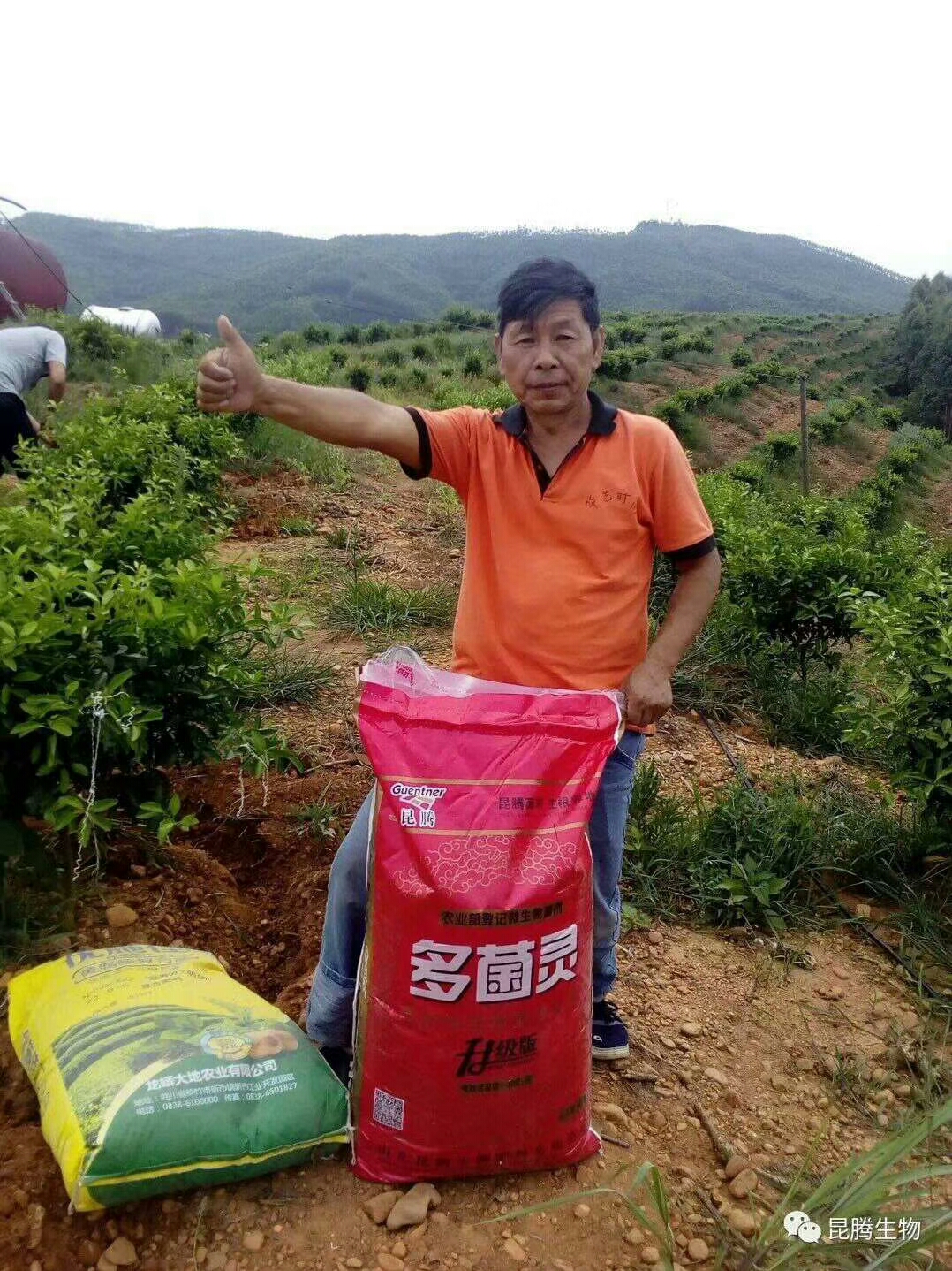 微生物有机菌肥 复合微生物菌剂 复合微生物菌肥