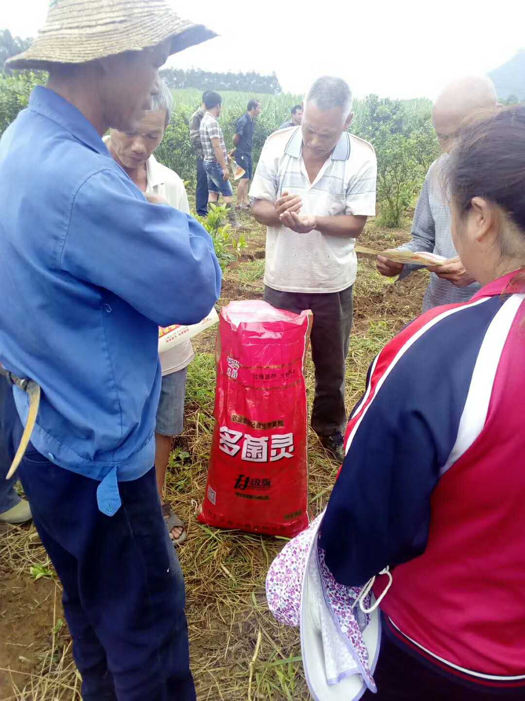 微生物有机菌肥 复合微生物菌剂 复合微生物菌肥
