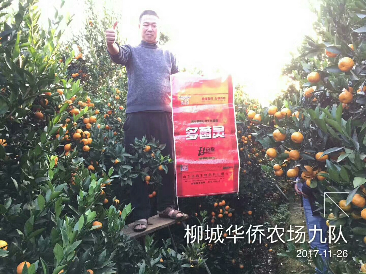 微生物有机菌肥 复合微生物菌剂 复合微生物菌肥