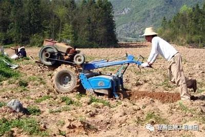 菌肥 生物菌肥 微生物菌肥