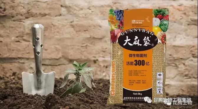 复合微生物菌肥厂家直销