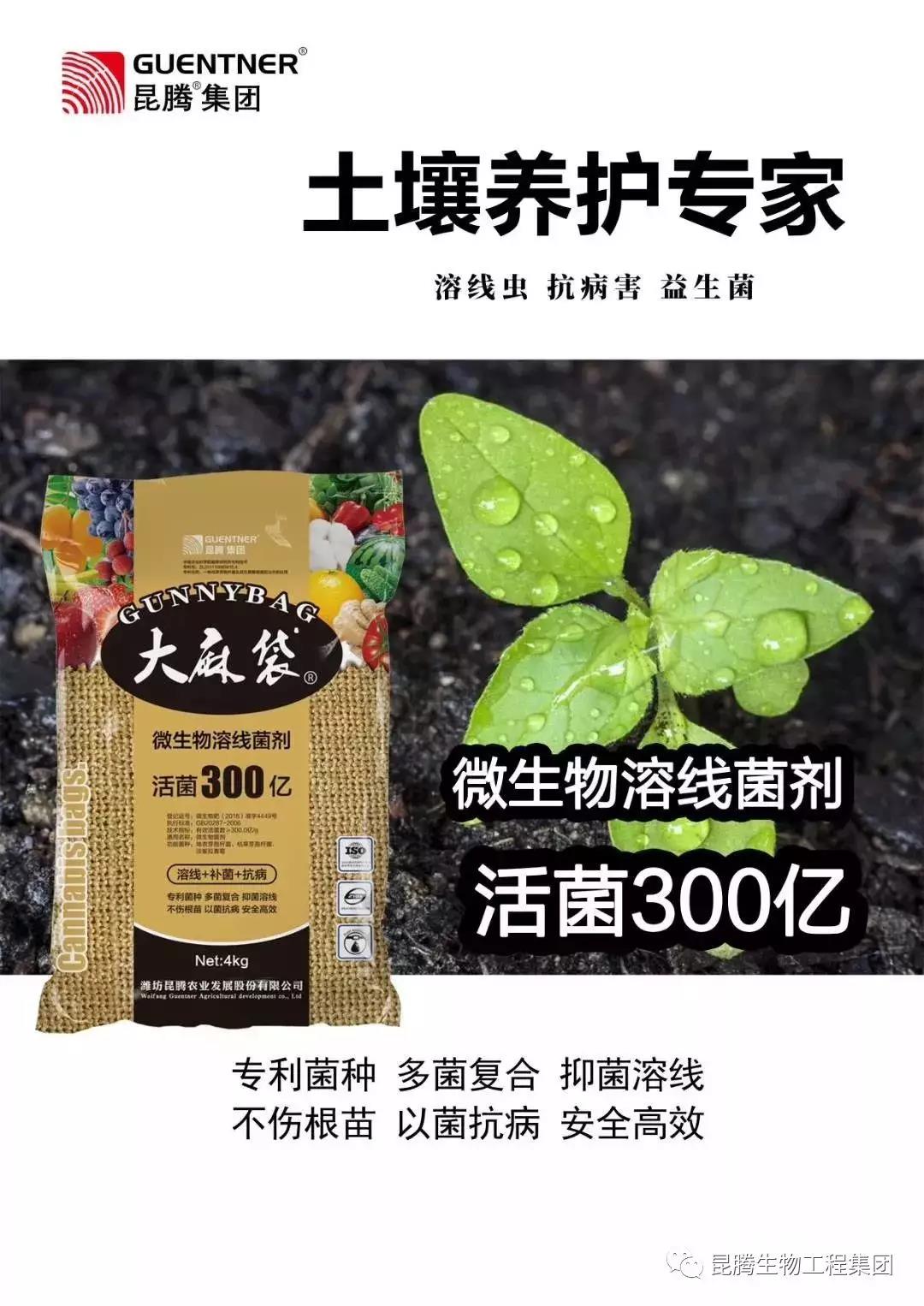 复合微生物菌肥厂家直销