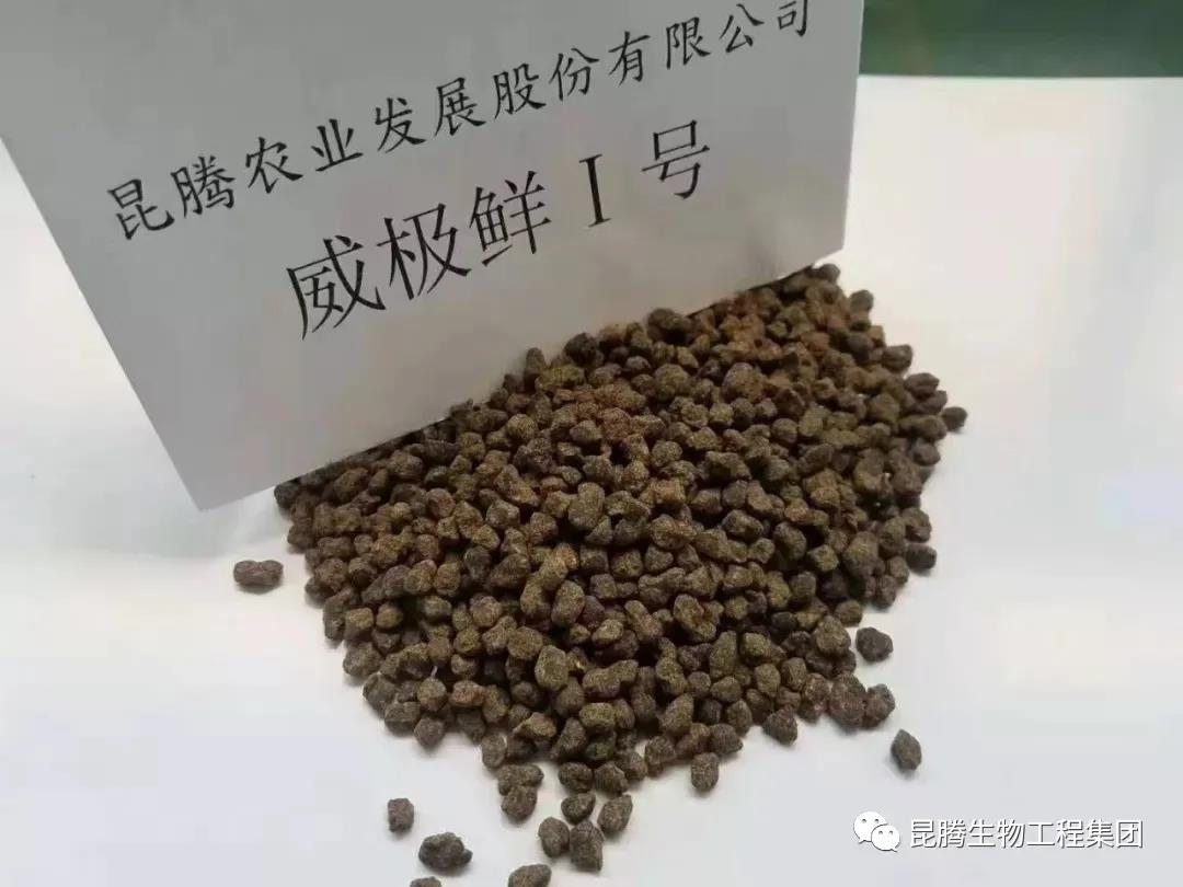 复合微生物菌肥厂家直销