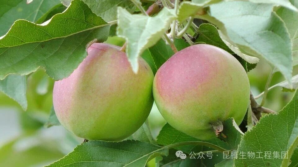 微信图片_2026-07-03_143021_780.jpg