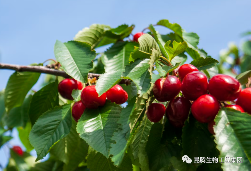 1786500847665787.png 微信图片_20230410142157.png